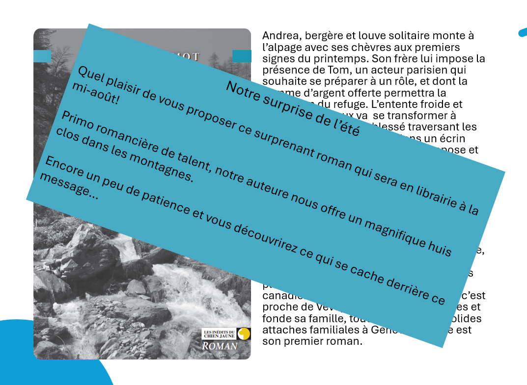 Capture d'écran 2025-07-10 145929